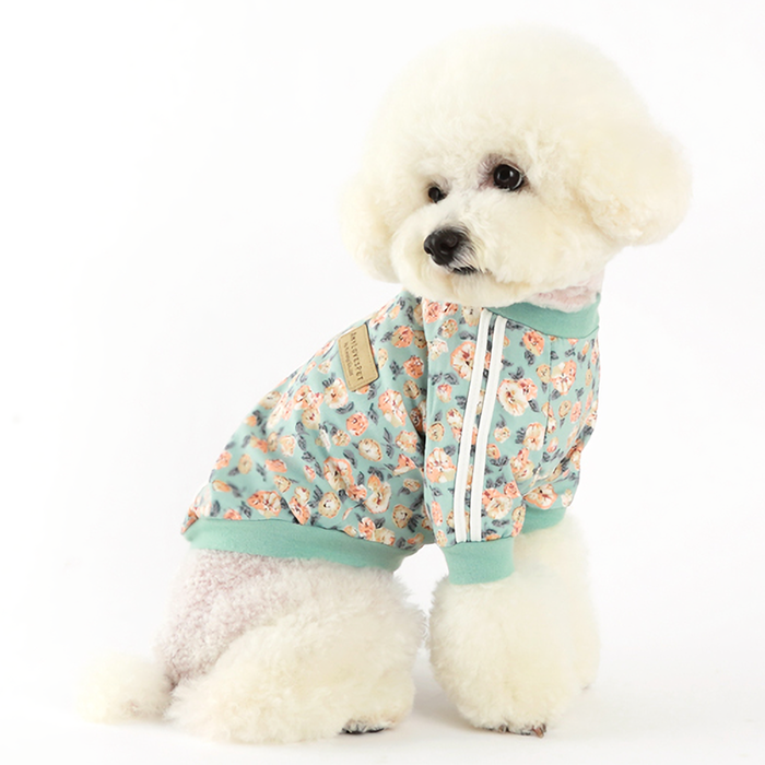 Luxury Pet Fashion & Accessories