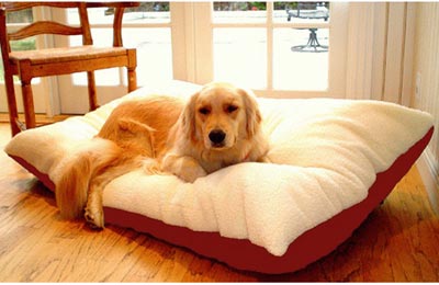 Luxury Extra Large Orthopedic Dog Bed | Majestic 42x60 Pet Sofa